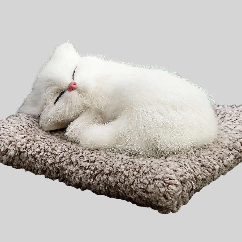 White Furr Cat