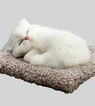White Furr Cat